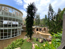 Savannah Condopark (D18), Condominium #252479531